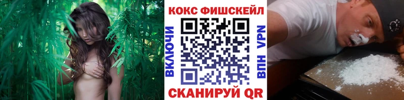 как найти закладки Джанкой КОКАИН Columbia