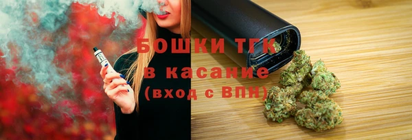 прущие грибы Вязники