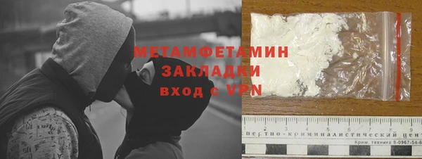 прущие грибы Вязники