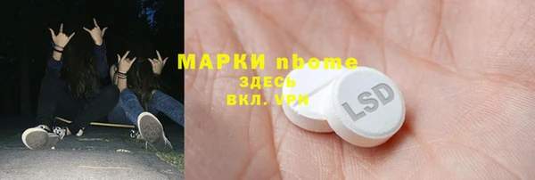 прущие грибы Вязники
