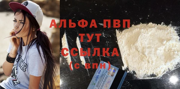 прущие грибы Вязники